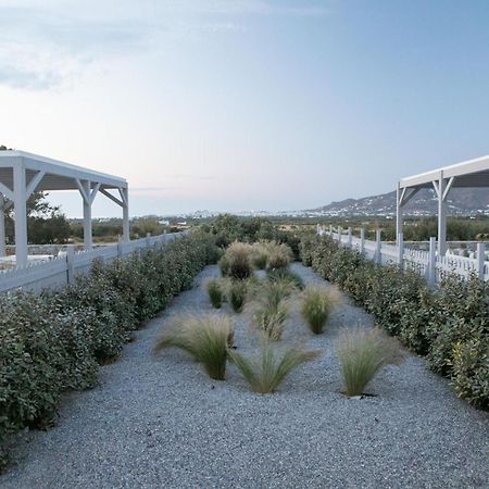 Olives Rocks Naxian Villas Agia Anna  Exterior foto