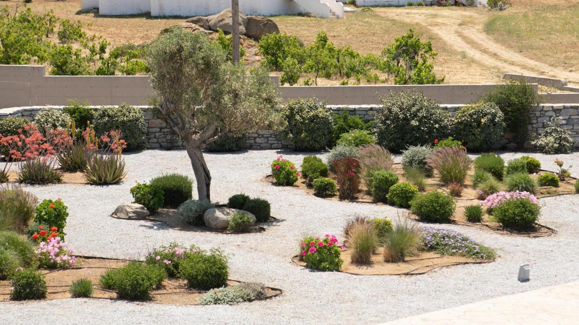 Olives Rocks Naxian Villas Agia Anna  Exterior foto