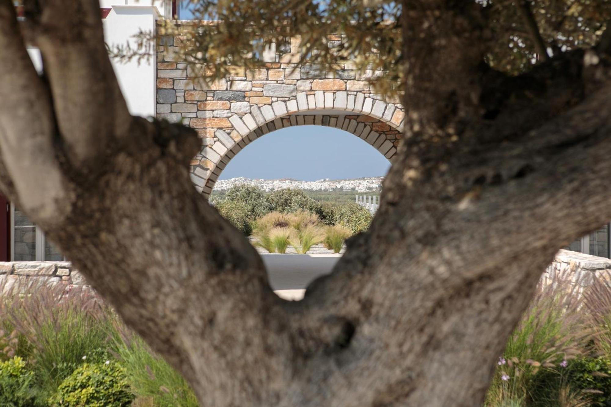 Olives Rocks Naxian Villas Agia Anna  Exterior foto