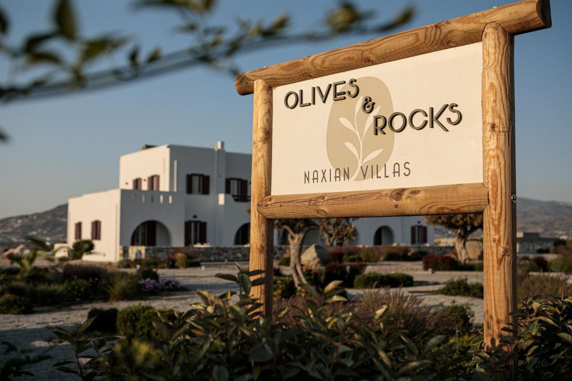 Olives Rocks Naxian Villas Agia Anna  Exterior foto