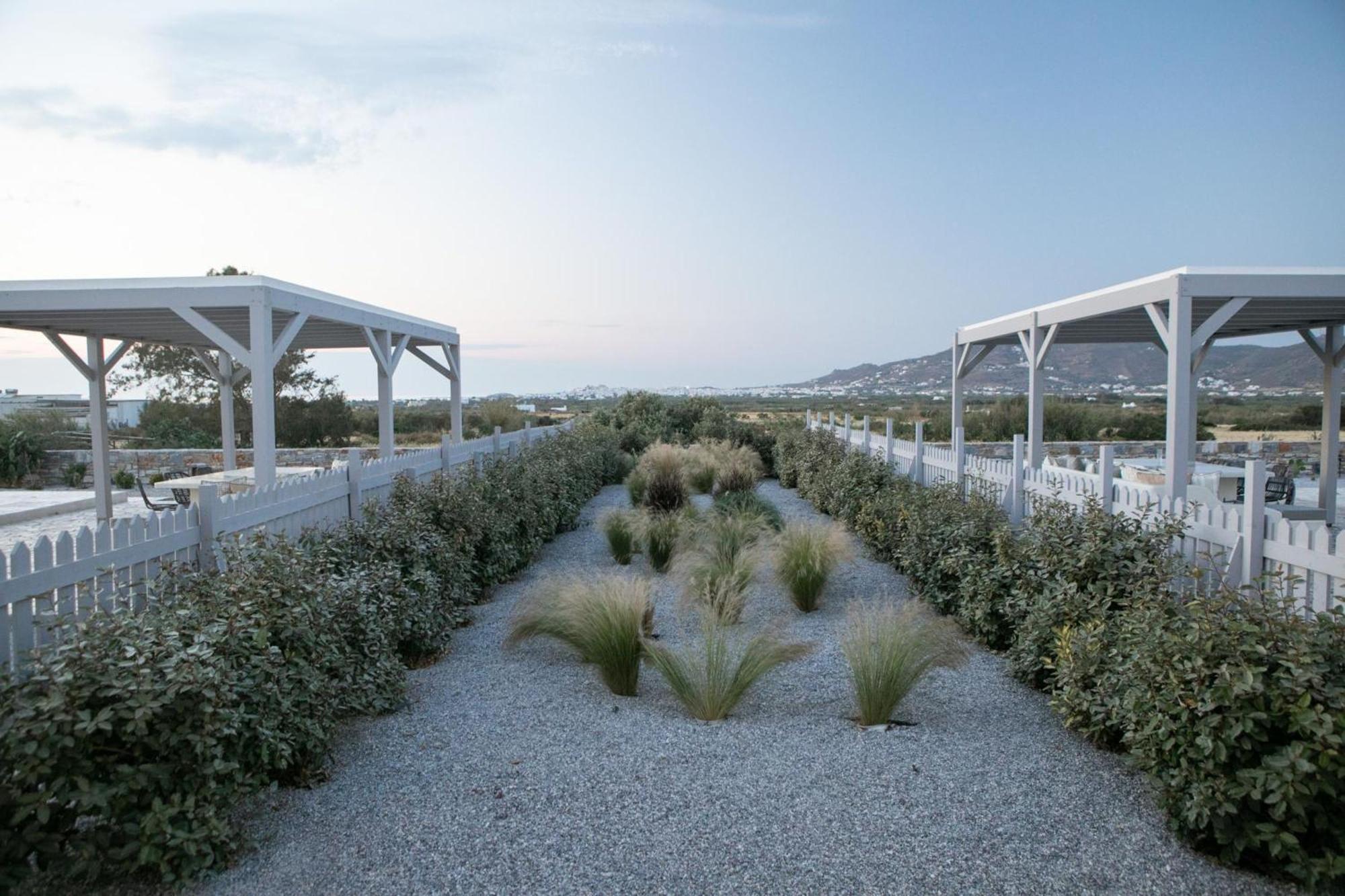 Olives Rocks Naxian Villas Agia Anna  Exterior foto
